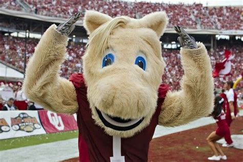 The Ou Soners Mascot: A Reflection of School Identity